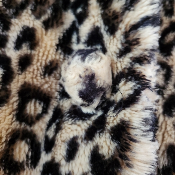 Girls Faux Fur Animal print coat SMALL - Picture 4 of 7